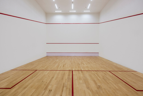 SNN Raj Etternia gallery
